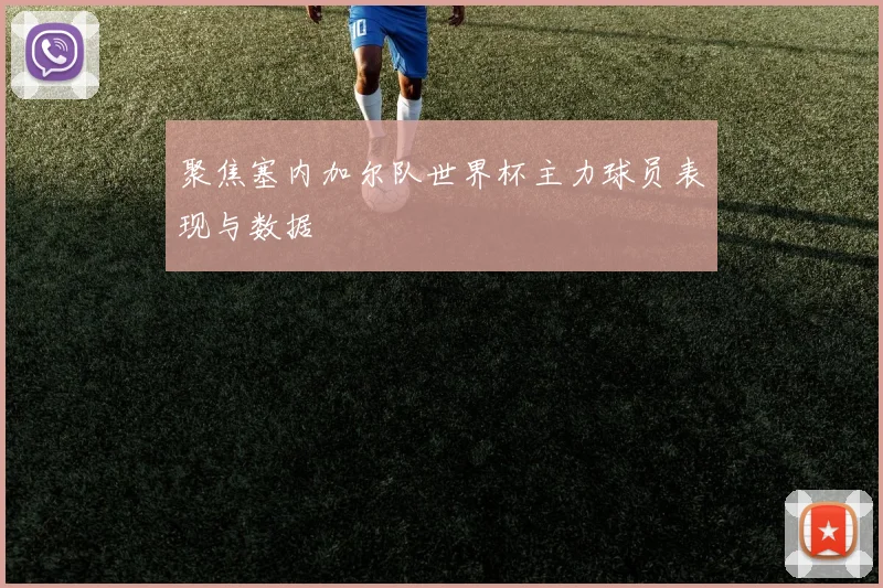 聚焦塞内加尔队世界杯主力球员表现与数据