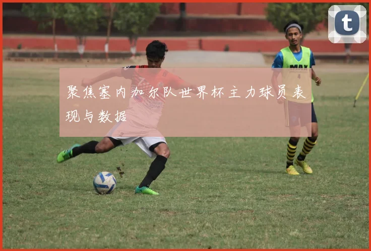 聚焦塞内加尔队世界杯主力球员表现与数据